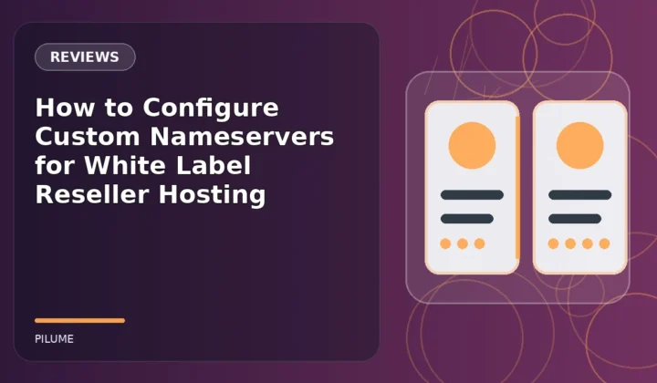 Topic-specific reviews illustration for How to Configure Custom Nameservers for White Label Reseller Hosting