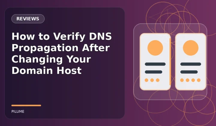 Topic-specific reviews illustration for How to Verify DNS Propagation After Changing Your Domain Host